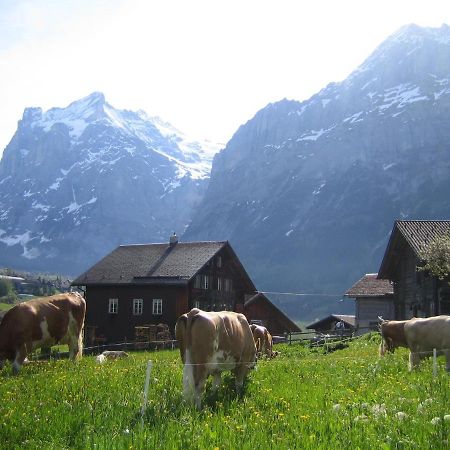 Chalet Baergblick กรินเดลวัลด์ ภายนอก รูปภาพ