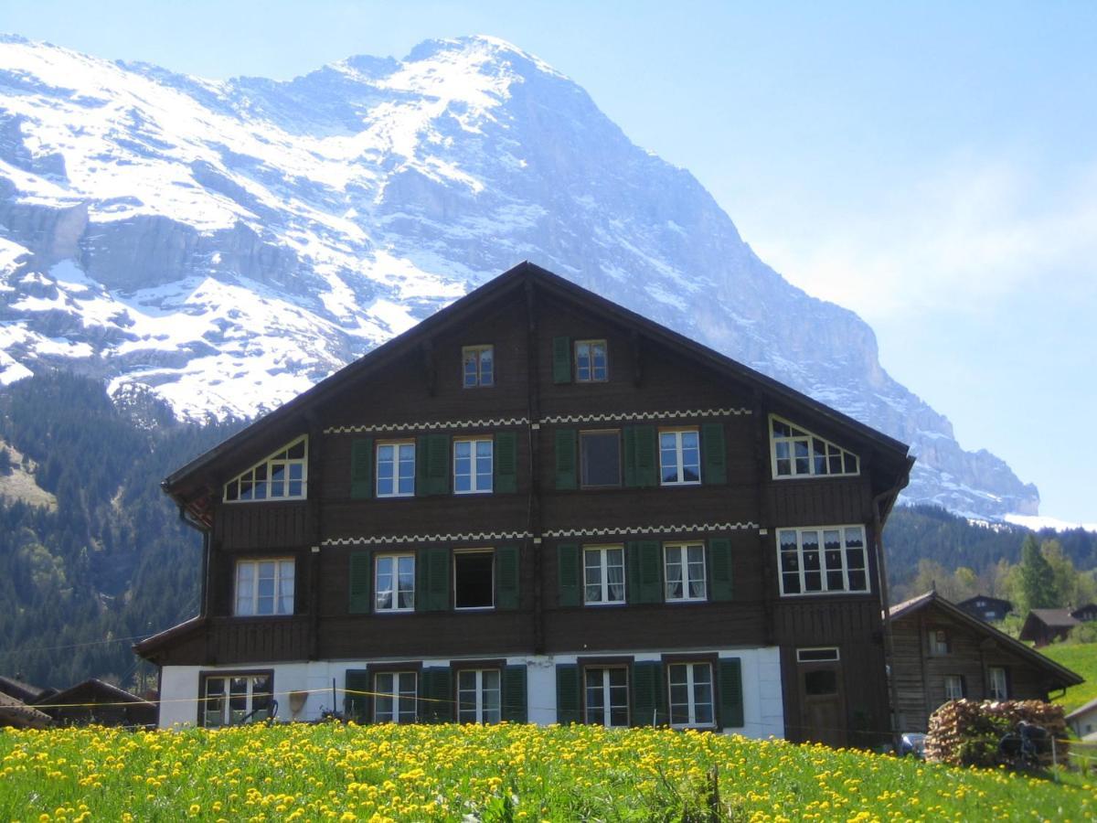 Chalet Baergblick กรินเดลวัลด์ ภายนอก รูปภาพ