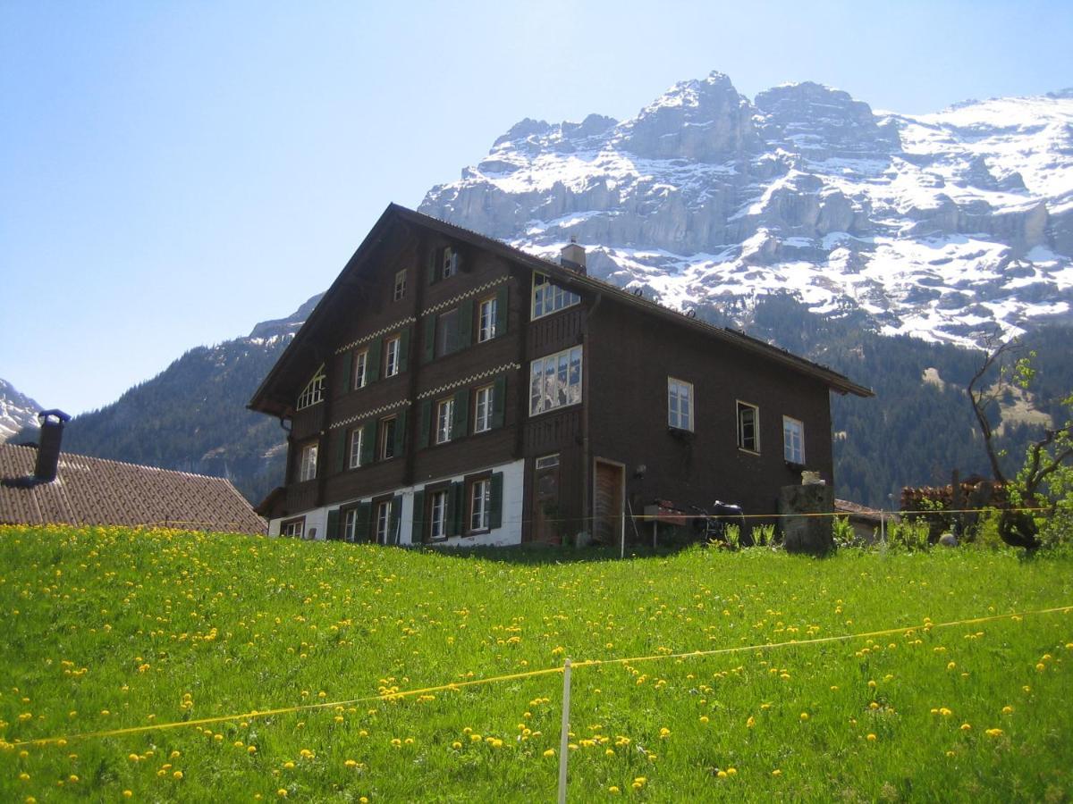 Chalet Baergblick กรินเดลวัลด์ ภายนอก รูปภาพ