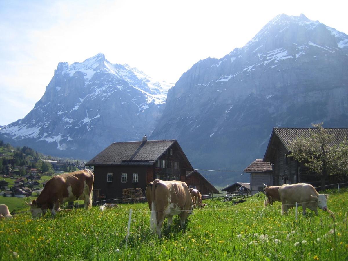 Chalet Baergblick กรินเดลวัลด์ ภายนอก รูปภาพ