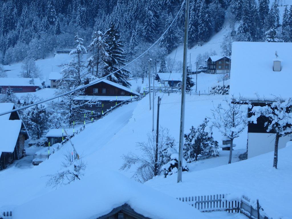 Chalet Baergblick กรินเดลวัลด์ ภายนอก รูปภาพ