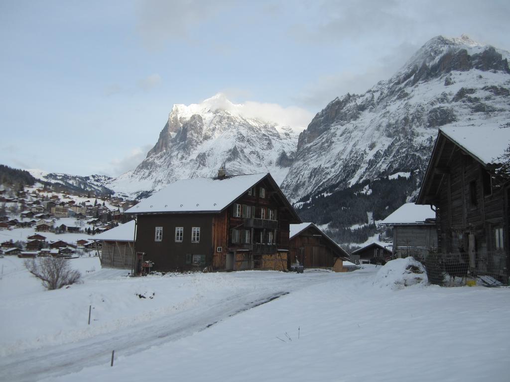 Chalet Baergblick กรินเดลวัลด์ ภายนอก รูปภาพ