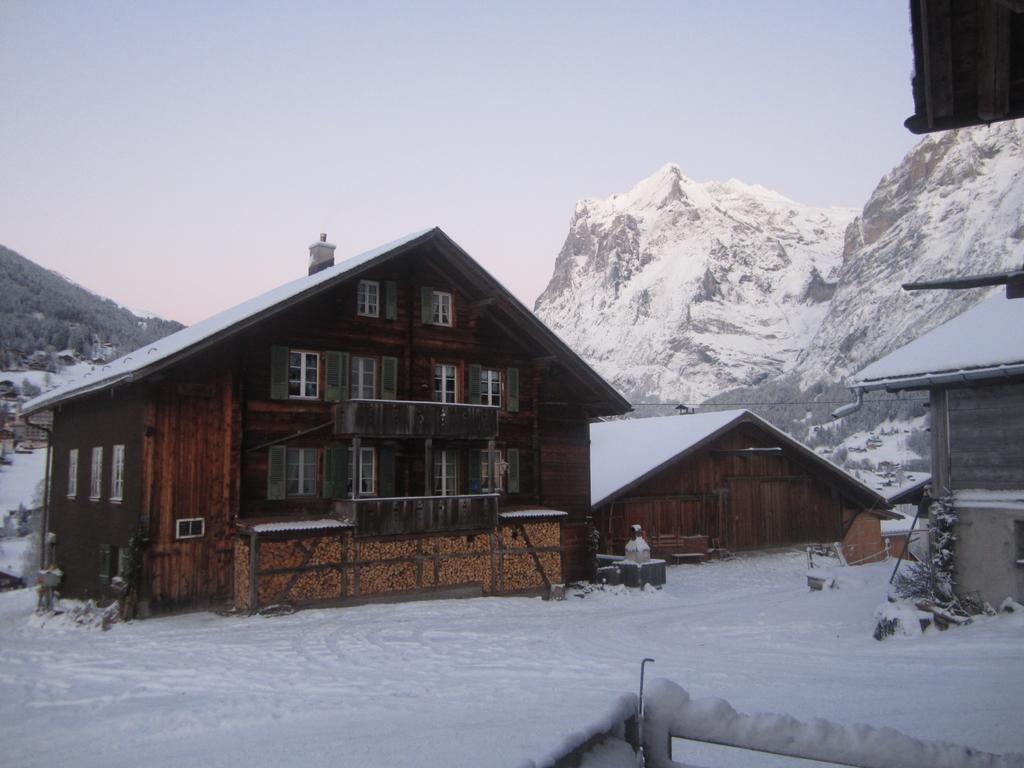 Chalet Baergblick กรินเดลวัลด์ ภายนอก รูปภาพ