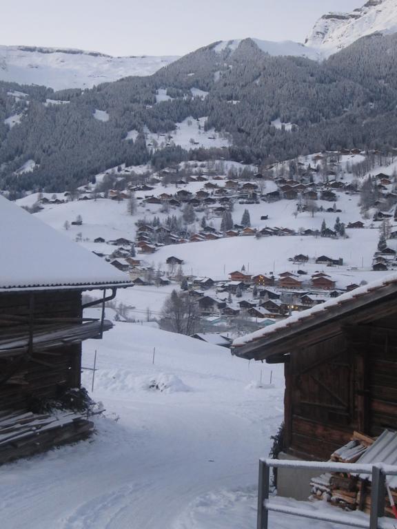 Chalet Baergblick กรินเดลวัลด์ ห้อง รูปภาพ