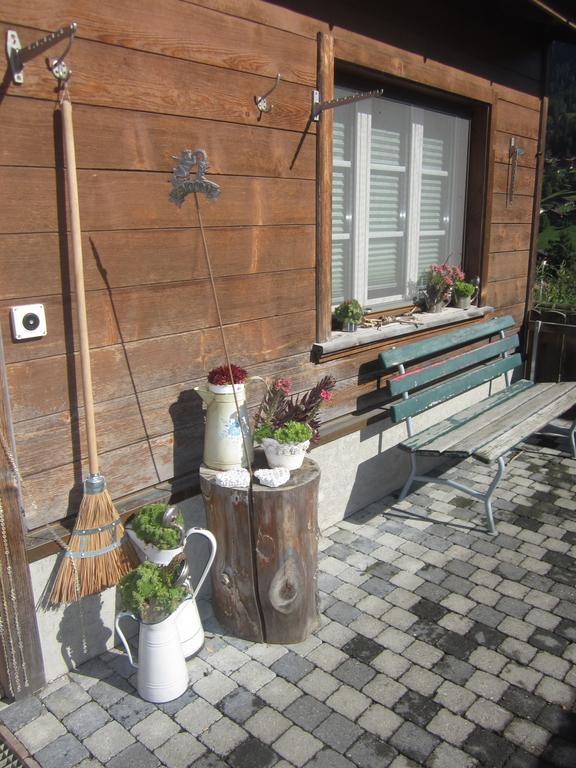 Chalet Baergblick กรินเดลวัลด์ ภายนอก รูปภาพ