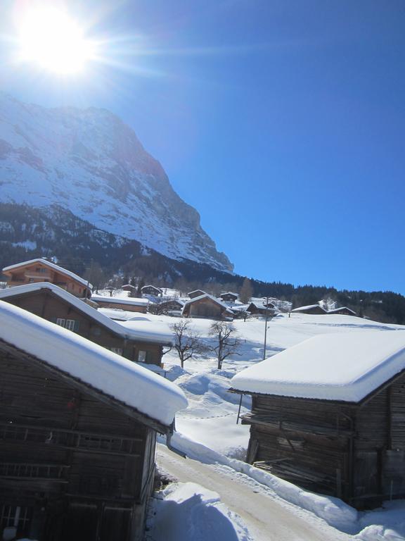 Chalet Baergblick กรินเดลวัลด์ ภายนอก รูปภาพ