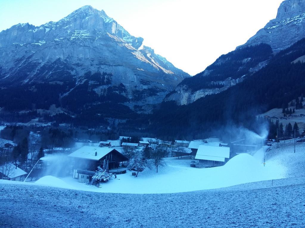 Chalet Baergblick กรินเดลวัลด์ ภายนอก รูปภาพ