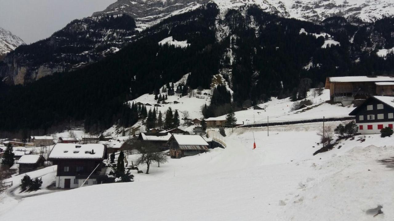 Chalet Baergblick กรินเดลวัลด์ ภายนอก รูปภาพ