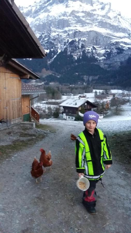 Chalet Baergblick กรินเดลวัลด์ ภายนอก รูปภาพ