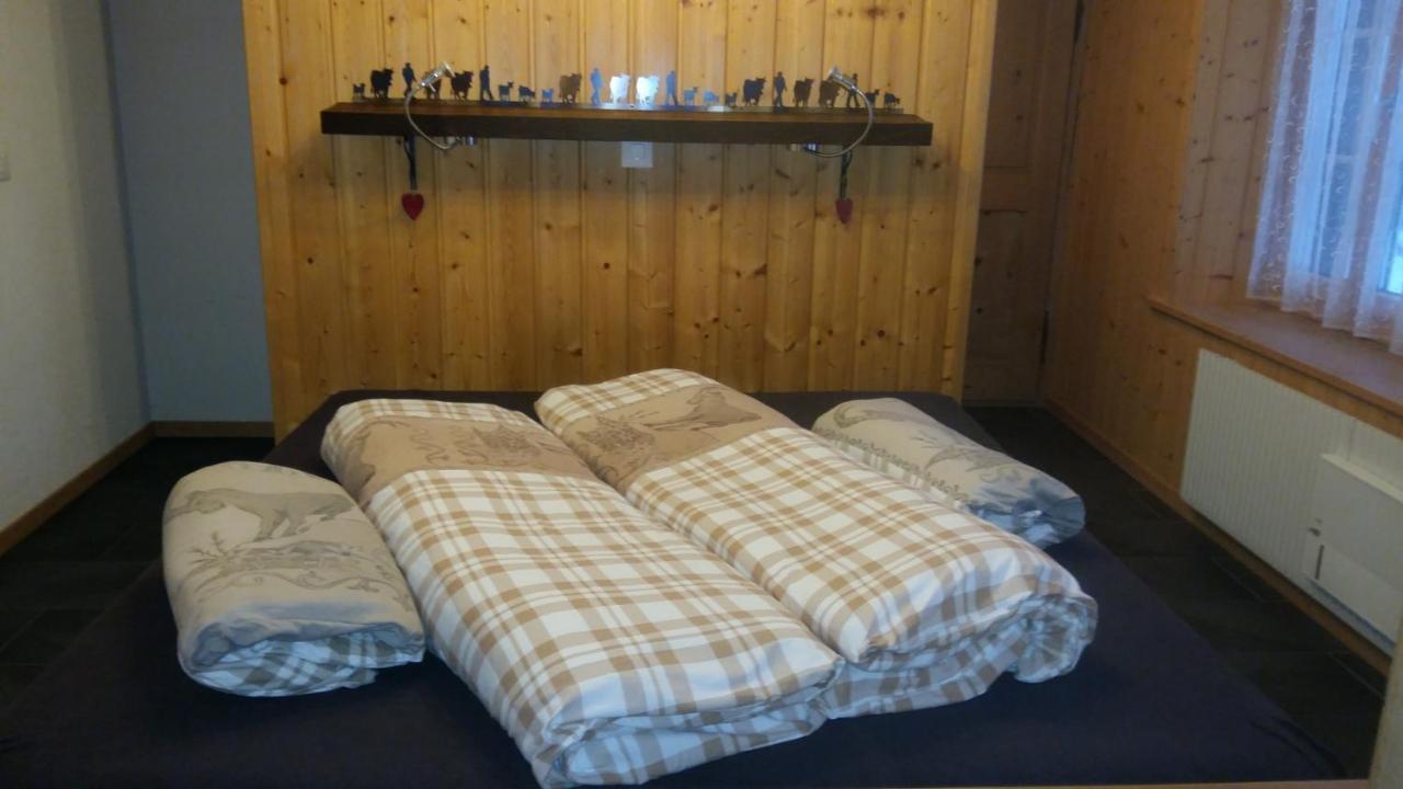Chalet Baergblick กรินเดลวัลด์ ภายนอก รูปภาพ